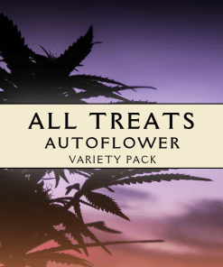 All Treats Autoflower Variety Pack