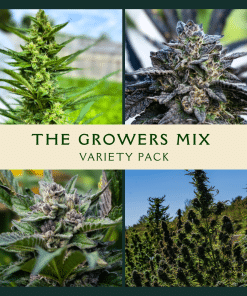 Growers Mix Variety Pack