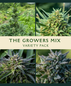 Growers Mix Variety Pack