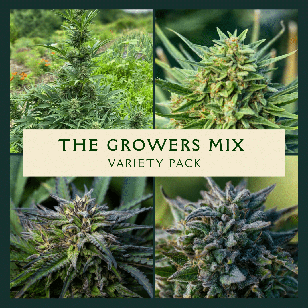 Growers Mix Variety Pack