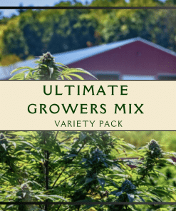 The Ultimate Growers Mix Variety Pack