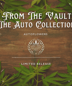 From the Vault: The Auto Collection