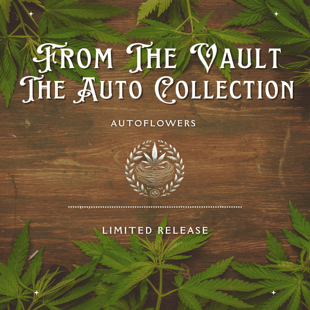 From the Vault: The Auto Collection