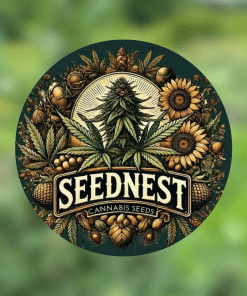 SEEDNEST Sticker