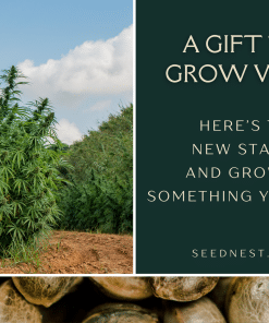 Alternative view of SEEDNEST Gift Card