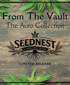 From the Vault: The Auto Collection
