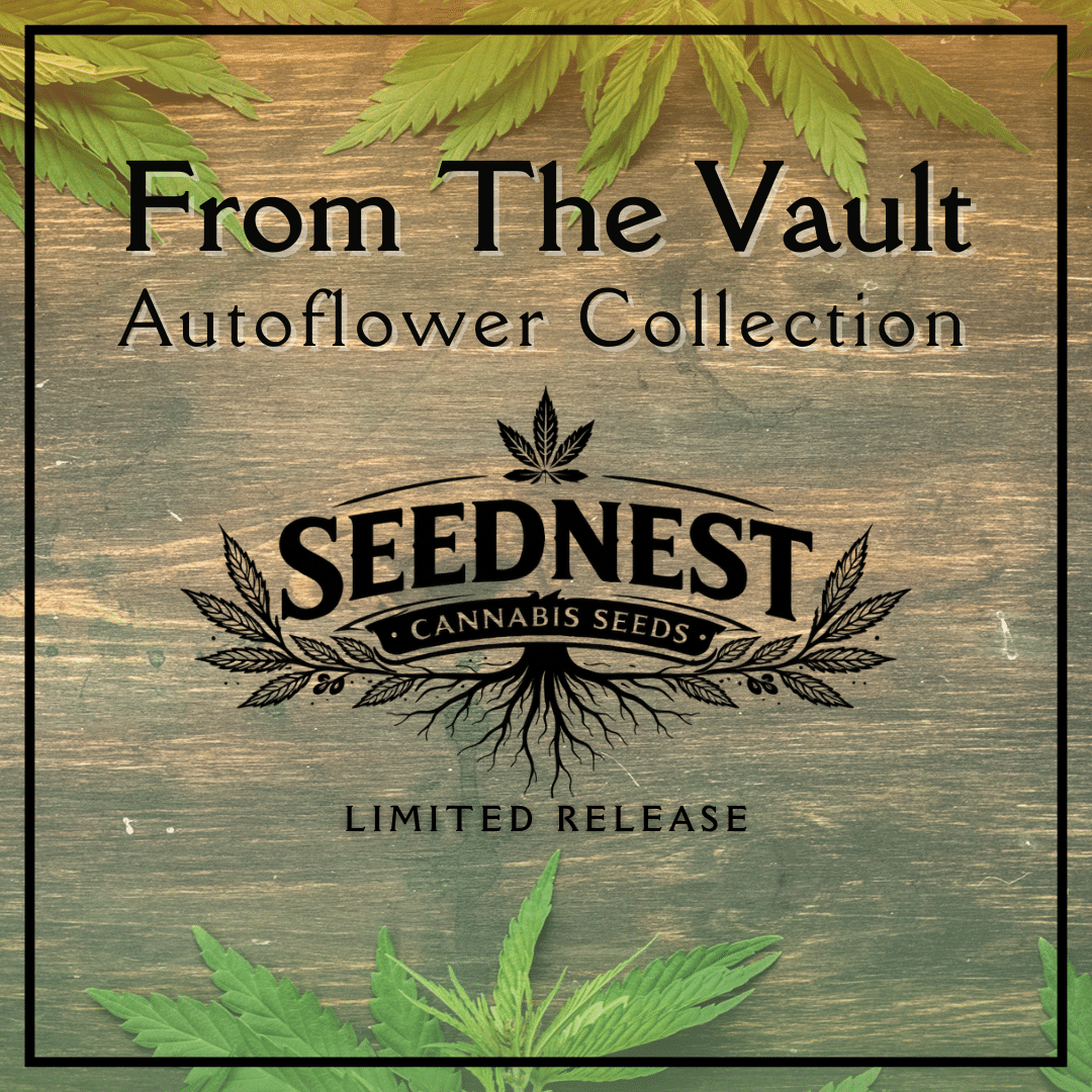 From the Vault: Autoflower Collection
