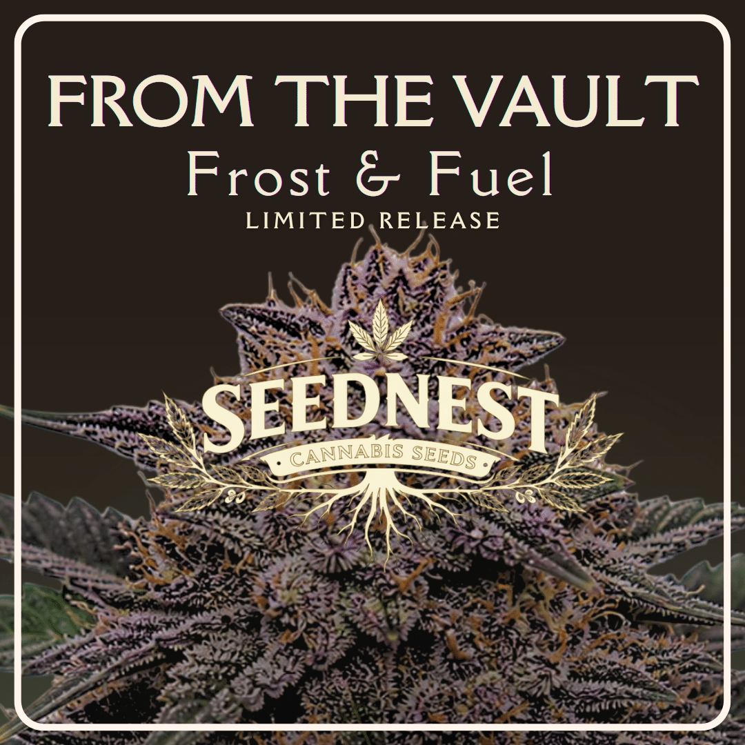 From the Vault: Frost & Fuel