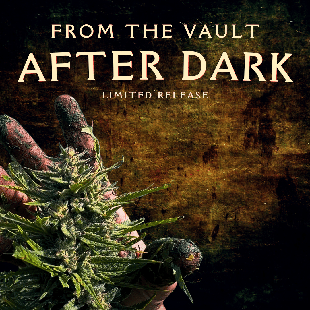 From the Vault: After Dark